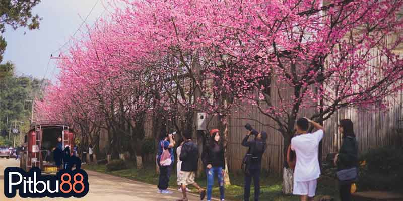 พาสาวเช็คอินไหนดี