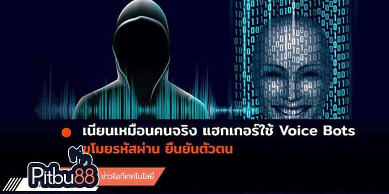 ข่าว IT
