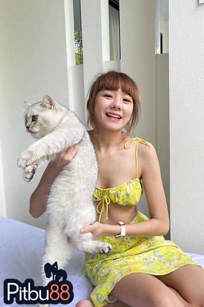 น้องมาย